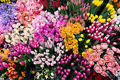 《QUESTER | OSAKA》登陆Steam 战斗系日式RPG